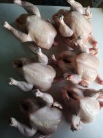 Лот: 14968000. Фото: 2. Мясо цыплят-бройлеров. Продукты