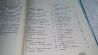 Лот: 10628329. Фото: 8. ок....(2092311)Прекрасное-своими...