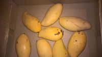Лот: 10529071. Фото: 4. Очень вкусное манго (Тайское манго...