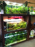 Лот: 25885488. Фото: 10. Продается студия аквариумного...
