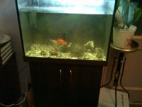 Лот: 3393969. Фото: 2. Продам большой аквариум с тумбой... Аквариумистика