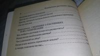 Лот: 11742032. Фото: 8. ок...Комнатные растения: друзья...
