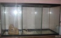 Лот: 12725831. Фото: 3. Аквариум ДШВ(см) : 90* 40* 50. Растения и животные