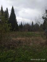 Лот: 9865771. Фото: 5. Дачный участок