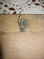 Лот: 9845508. Фото: 7. Картина настенная из природных...