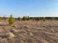 Лот: 17669430. Фото: 3. Земельный участок Устюг. Недвижимость