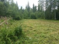 Лот: 5274289. Фото: 2. Учаток 16 соток. Снежница. Продажа