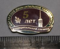 Лот: 11241665. Фото: 2. Тяжелый значок: 5 лет Муниципальной... Значки, медали, жетоны