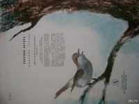 Лот: 8833488. Фото: 3. детские книжки. Литература, книги