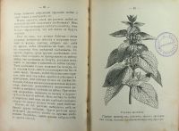 Лот: 15670407. Фото: 5. С.А. Порецкий. Друзья растений...