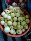 Лот: 12116428. Фото: 2. Ранетки. Продукты