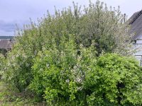 Лот: 25406841. Фото: 16. 1-комн. дача , садоводческое некоммерческое...