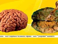 Лот: 25325814. Фото: 2. Освобождение от зависимостей. Красота, здоровье, медицина