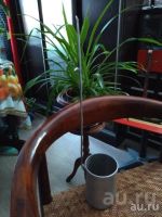 Лот: 18167249. Фото: 3. Черпак - мерник 1 л. алюминий... Коллекционирование, моделизм