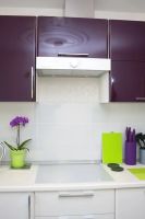 Лот: 15483047. Фото: 3. Кухня Белый и фиолетовый глянец... Мебель