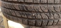 Лот: 19788199. Фото: 4. Viatti bosco a/t 205 70 r15. Красноярск