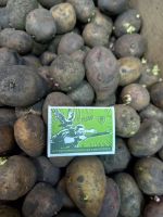 Лот: 25406536. Фото: 2. Картофель деревенский на посадку. Продукты