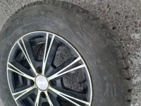 Лот: 21508200. Фото: 6. 185/70/14 Maxxis Presa Spike Winter...