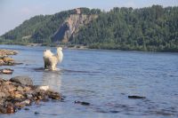 Лот: 13048862. Фото: 3. Дом в самом чистом пригороде Красноярска. Недвижимость