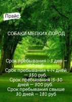 Лот: 17554072. Фото: 7. Гостиница для собак