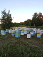 Лот: 25644125. Фото: 2. Мёд 2025. Продукты