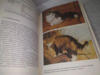 Лот: 25600745. Фото: 11. вбР/оз(00-33)К-кт из 2-х книг...