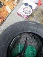 Лот: 18113218. Фото: 3. Toyo ice freezer 175 65 R14 шип. Авто, мото, водный транспорт