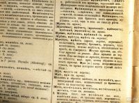 Лот: 18089027. Фото: 13. Даль В.И. Толковый словарь живого...