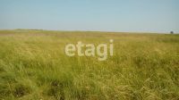 Лот: 25288946. Фото: 4. участок , Красноярск Красноярск... Красноярск