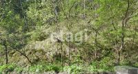 Лот: 25287969. Фото: 12. 3-комн. дом , посёлок Верхняя...
