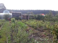 Лот: 10344280. Фото: 2. Дача около 1 КПП Железногорск. Продажа