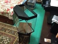 Лот: 6406535. Фото: 3. Аквариум 55 л панорама. Растения и животные