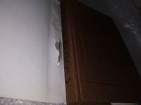 Лот: 10427977. Фото: 11. Дело султана Джема, Вера Мутафчиева...