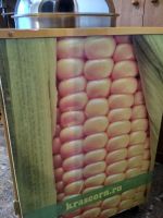 Лот: 14360165. Фото: 2. Стойка и пароварка для продажи... Оборудование