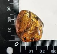 Лот: 25338979. Фото: 4. Янтарь с мелким комариком