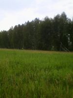 Лот: 5283535. Фото: 4. Земельный участок Емельяновский... Красноярск