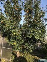 Лот: 22559991. Фото: 3. участок , ТСН Отдых Урожайная... Недвижимость