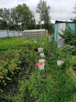 Лот: 17368154. Фото: 2. земельный участок дача. Продажа