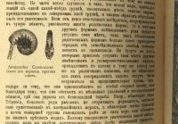 Лот: 20058018. Фото: 20. Чарльз Дарвин. Собрание сочинений...