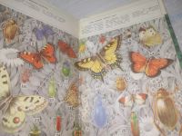 Лот: 25526846. Фото: 3. ВбР/оз(4092365)Молис С. Хрестоматия... Литература, книги