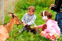 Лот: 2921587. Фото: 2. Козье молоко ЛПХ "Молочная река... Продукты