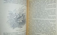 Лот: 24890279. Фото: 5. Охота на полевую, степную, пустынную...