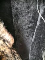Лот: 14409876. Фото: 2. Дубленка женская. Женская одежда
