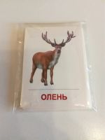Лот: 20303394. Фото: 4. Обучающие карточки дикие животные. Красноярск