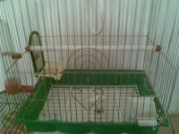 Лот: 560030. Фото: 2. клетка. Животные и уход