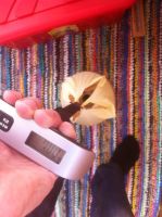 Лот: 9676807. Фото: 4. Провод эмалированный обмоточный...