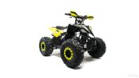 Лот: 24283336. Фото: 5. Квадроцикл Motoland Raptor A 125...