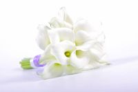Лот: 3737075. Фото: 3. Каллы!. Сувениры, подарки