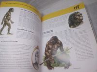 Лот: 25777694. Фото: 12. (2092312)Школьник Ю.К. Человек...