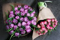 Лот: 15585070. Фото: 15. Тюльпаны Пиони-бордо / из Голландии...